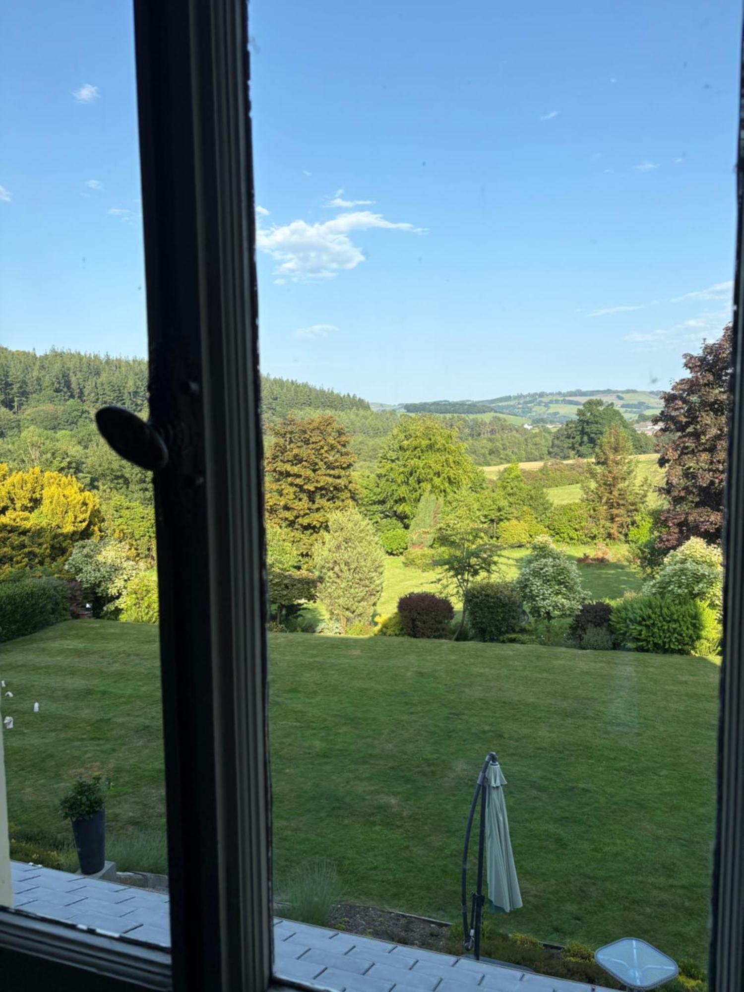 The Falcondale At 4* Лампетер