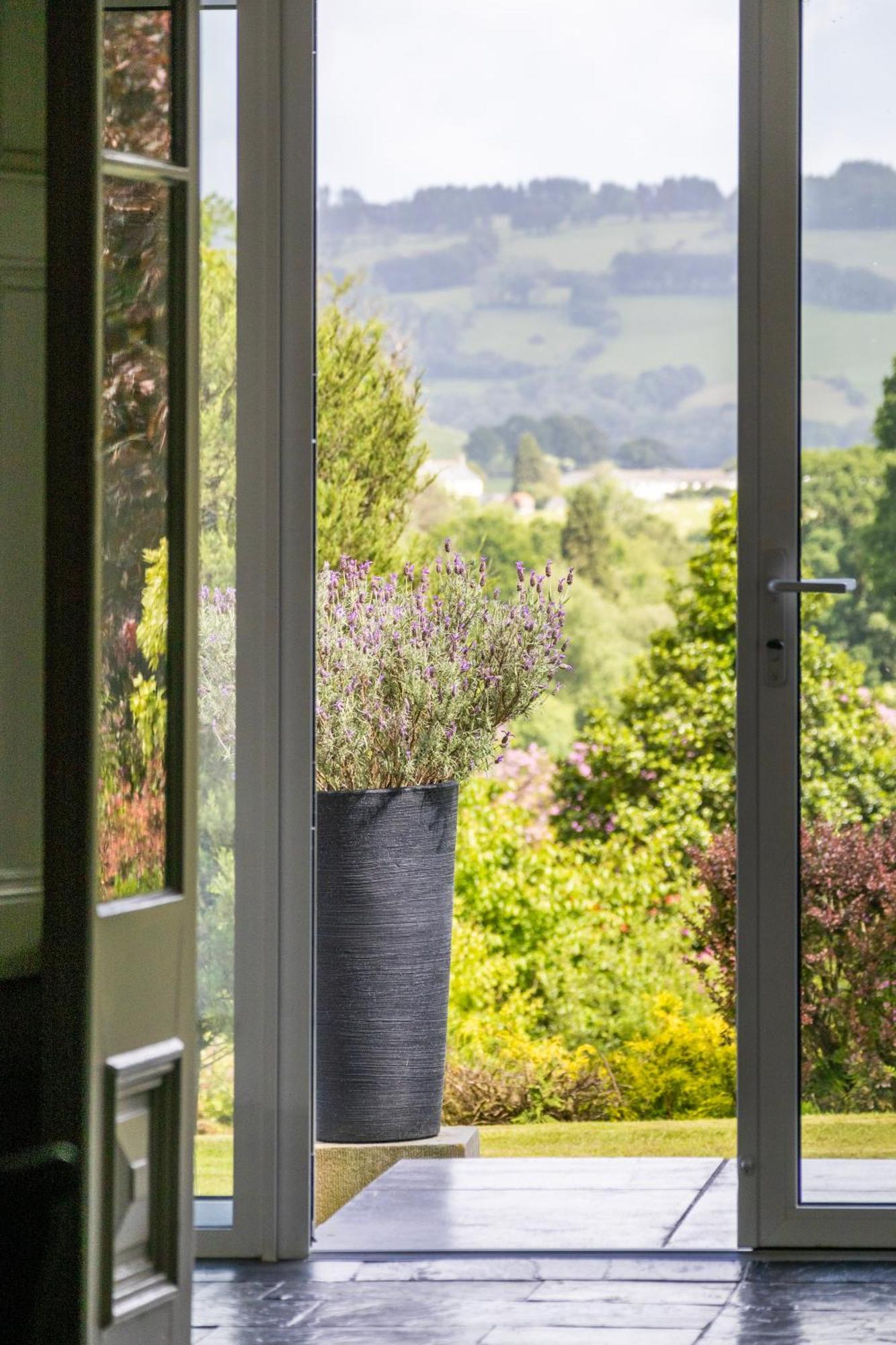 Hotel The Falcondale At 4*