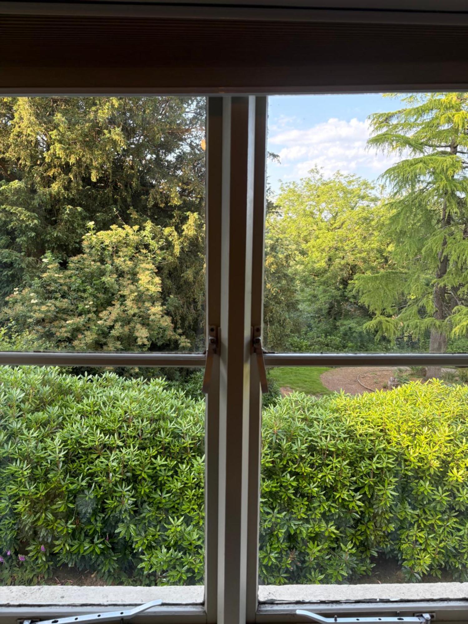 The Falcondale At Hotel